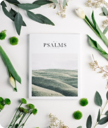 faculty members image