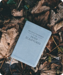 faculty members image